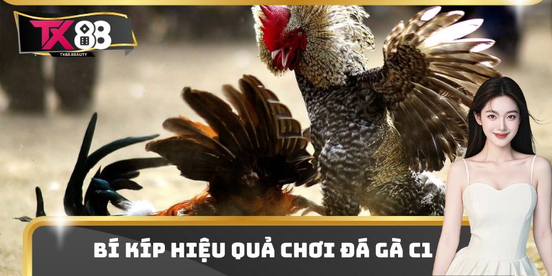 Đá Gà C1 - Điểm Chơi Giải Trí Trực Tuyến Top Đầu Thị Trường 3 Bí kíp hiệu quả chơi đá gà C1