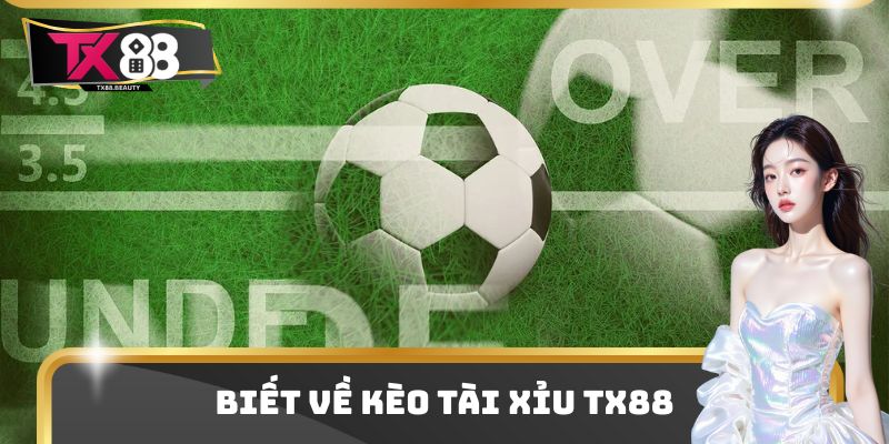 Kèo Tài Xỉu TX88 Là Gì? Xác Định Thắng Thua Và Mẹo Nhận Định 1 Biết về kèo tài xỉu TX88