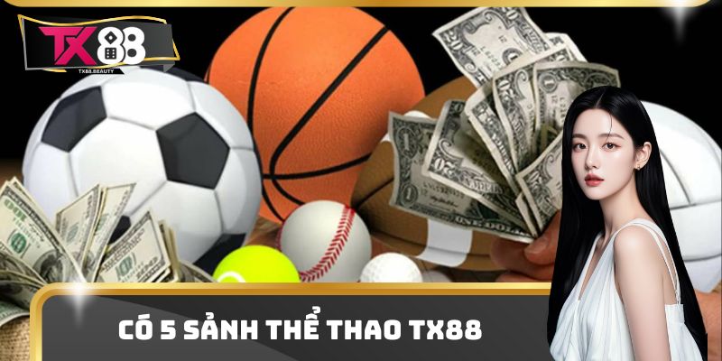 Hiện có 5 nhà phát hành có mặt trên hệ thống