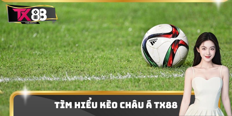 Kèo Châu Á TX88 Là Gì? Chia Sẻ Cách Cược Và Nhận Định Đúng 2 Kèo Châu Á TX88 Là Gì? Chia Sẻ Cách Cược Và Nhận Định Đúng