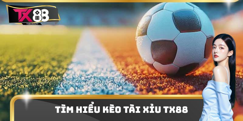 Kèo Tài Xỉu TX88 Là Gì? Xác Định Thắng Thua Và Mẹo Nhận Định 1 Kèo Tài Xỉu TX88 Là Gì? Xác Định Thắng Thua Và Mẹo Nhận Định
