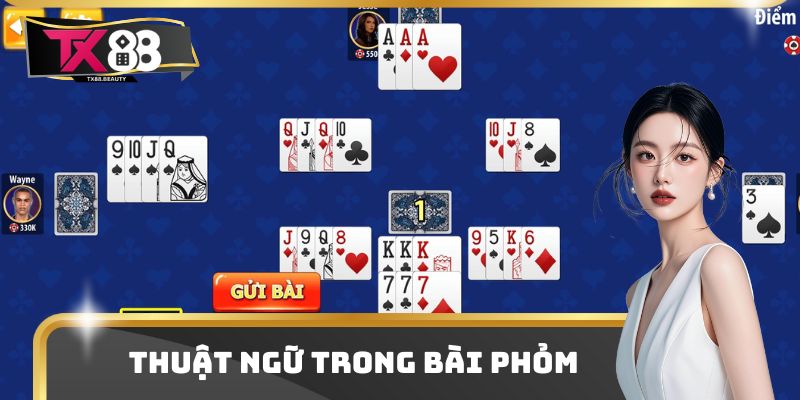 Cách Đánh Bài Phỏm Chi Tiết Nhất Người Mới Cần Biết 2 Một số thuật ngữ chắc chắn xuất hiện trong ván