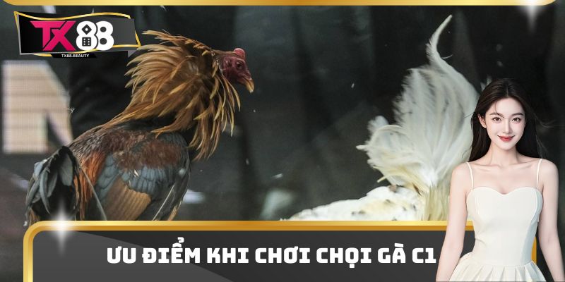 Đá Gà C1 - Điểm Chơi Giải Trí Trực Tuyến Top Đầu Thị Trường 2 Ưu điểm khi chơi chọi gà C1
